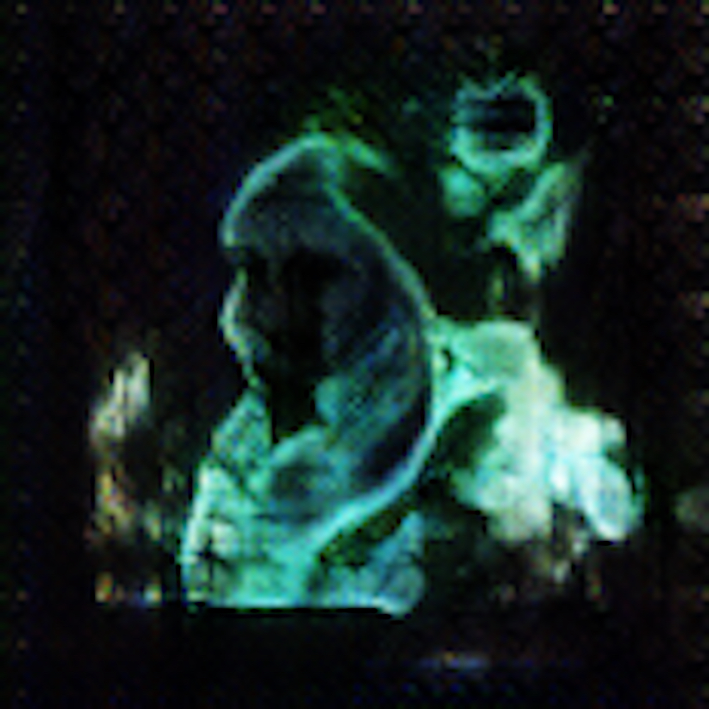 Le secret de famille Belamy #1