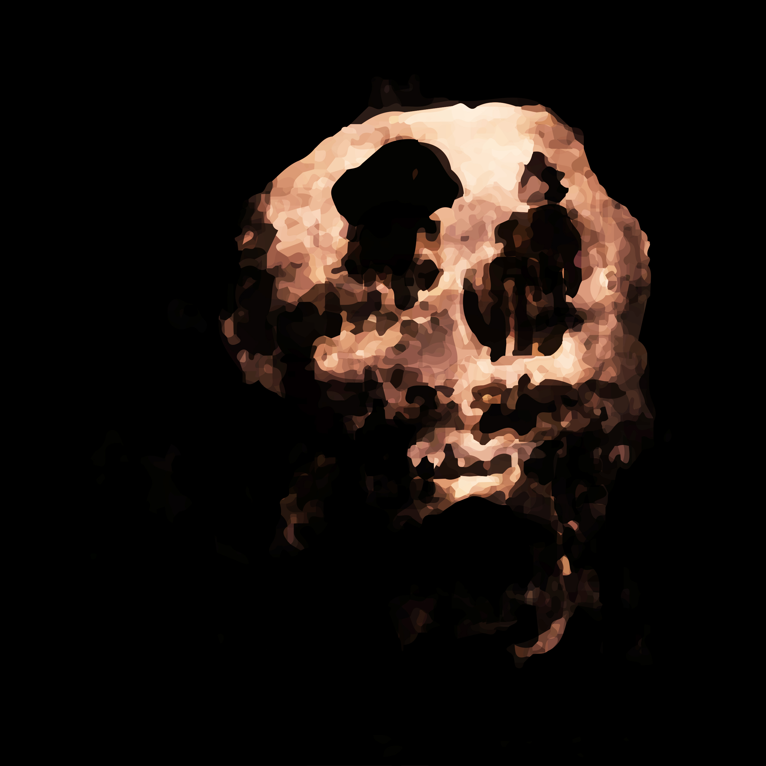 Skull 1.9
